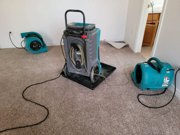 Best Professional water damage repair  in North Cape May, NJ
