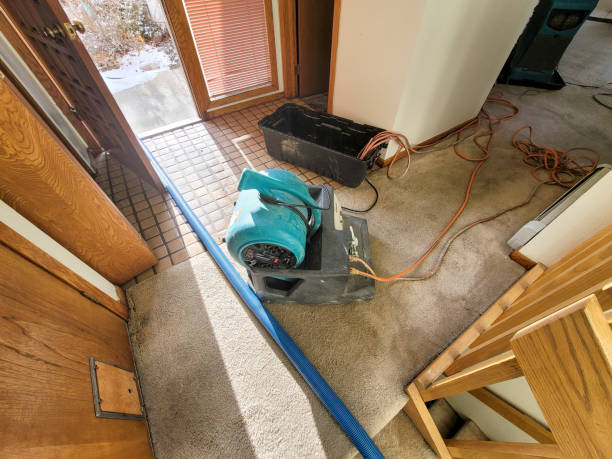 Best Residential water damage restoration  in North Cape May, NJ