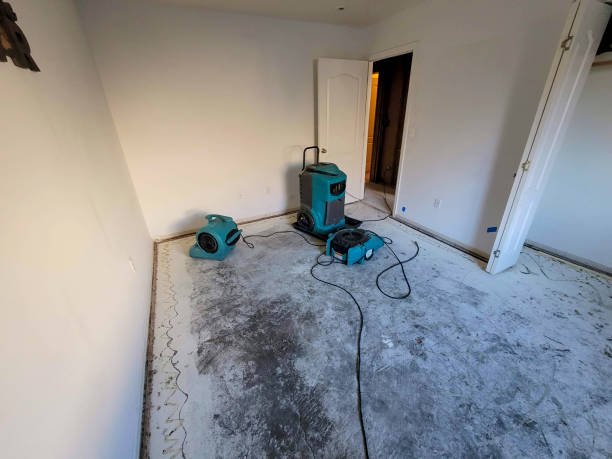Best Water damage restoration near me  in North Cape May, NJ