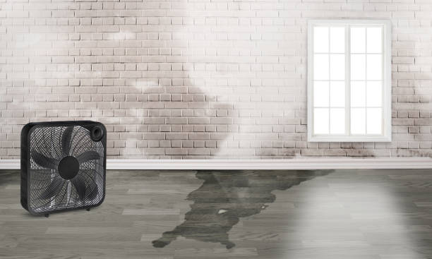 Best 24-hour water damage restoration  in North Cape May, NJ