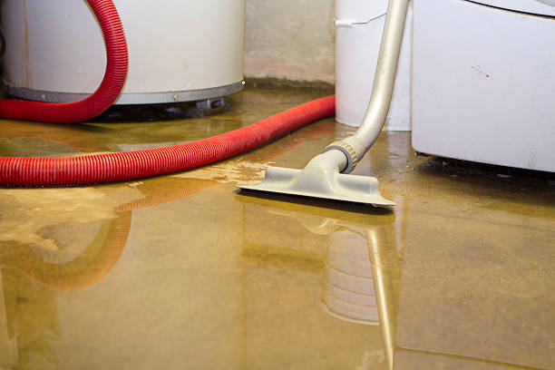 Reliable North Cape May, NJ Water damage restoration Solutions