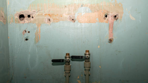 Best Water damage restoration near me  in North Cape May, NJ